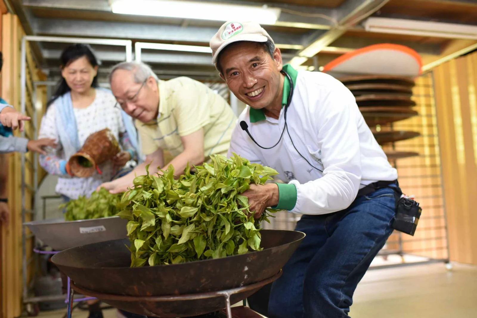 綠光農園採茶半日遊！直飲在地好茶，親子同樂活動推薦！[a] 文章圖片 6