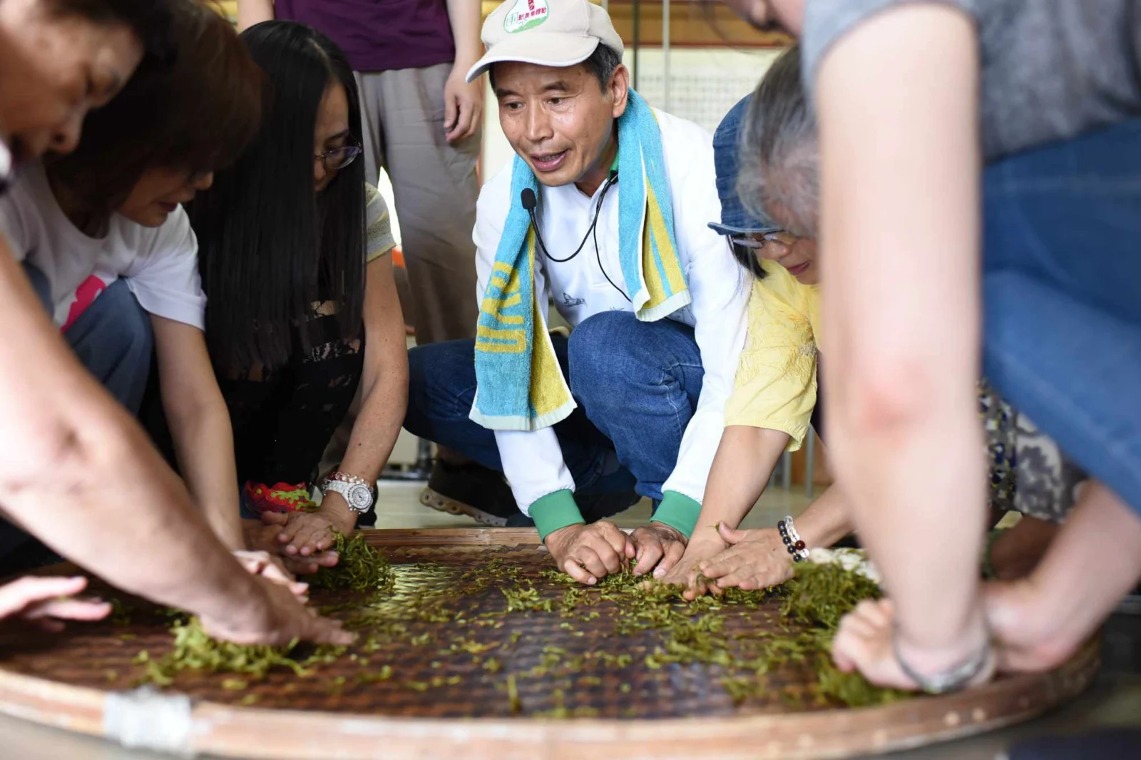 綠光農園採茶半日遊！直飲在地好茶，親子同樂活動推薦！[a] 文章圖片 7