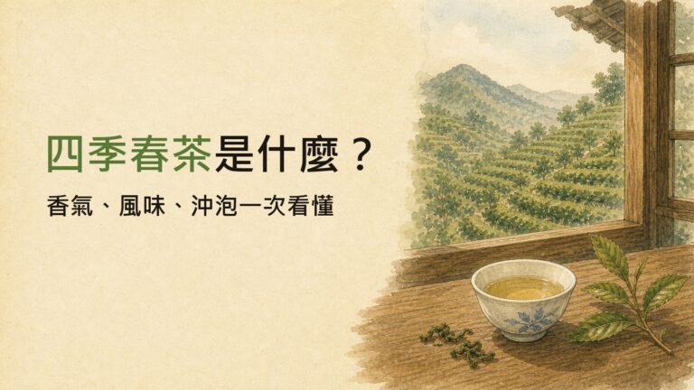 四季春茶是什麼？和青心烏龍、金萱差在哪，從品種到香氣一次看懂 圖片 1